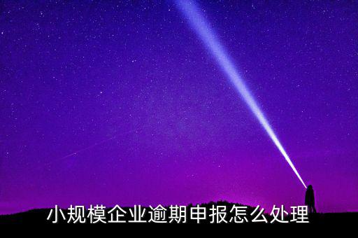小規(guī)模納稅人如果沒(méi)有按時(shí)申報(bào)有什么后果，小規(guī)模不報(bào)稅什么后果