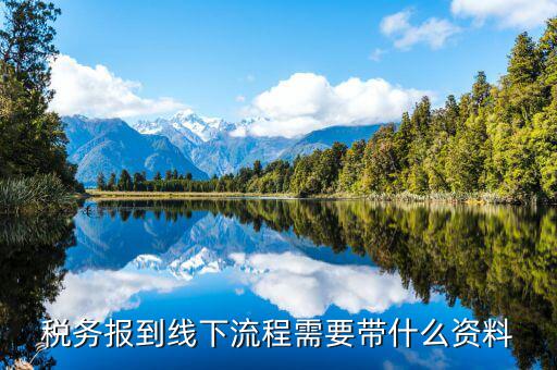 南京稅務(wù)報(bào)道需要什么資料，去稅務(wù)局報(bào)稅需要帶什么資料