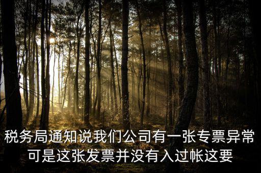 稅務(wù)局通知說我們公司有一張專票異?？墒沁@張發(fā)票并沒有入過帳這要