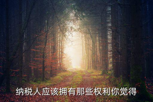 納稅人的權(quán)益有什么，納稅人應(yīng)該擁有那些權(quán)利你覺得