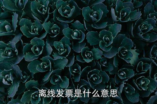 離線開票什么意思，離線發(fā)票是什么意思