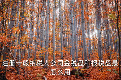 注冊(cè)一般納稅人公司金稅盤(pán)和報(bào)稅盤(pán)是怎么用