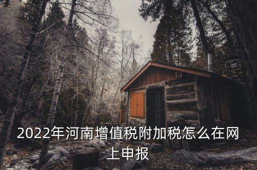 附加稅在什么網(wǎng)站申報(bào)，2022年河南增值稅附加稅怎么在網(wǎng)上申報(bào)