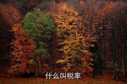 什么叫增值稅稅率，增值稅普通發(fā)票的稅率是什么意思