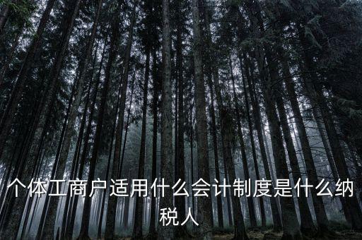 個體戶屬于什么納稅人，從事縫紉業(yè)務(wù)的個體戶屬于哪一類納稅人