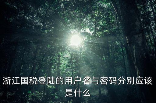 浙江國稅密碼是什么意思，浙江地稅開票軟件中數(shù)據(jù)庫密碼是多少