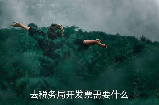 常州國稅認證發(fā)票需要帶什么手續(xù)，去國稅認證發(fā)票需要帶什么資料