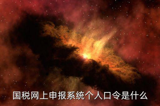 國稅證書口令是什么意思，網(wǎng)上申報國稅系統(tǒng)登陸的口令是什么