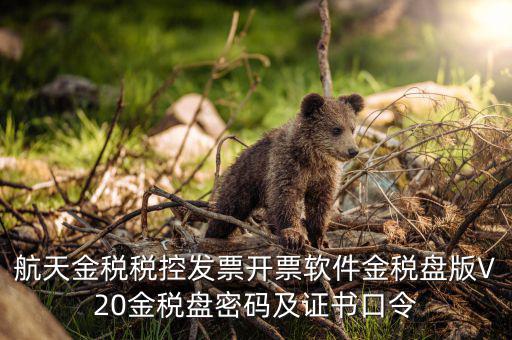 新稅盤證書口令是什么，金稅盤初始密碼和口令是多少