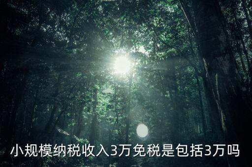 3萬免稅是指什么，小規(guī)模納稅收入3萬免稅是包括3萬嗎