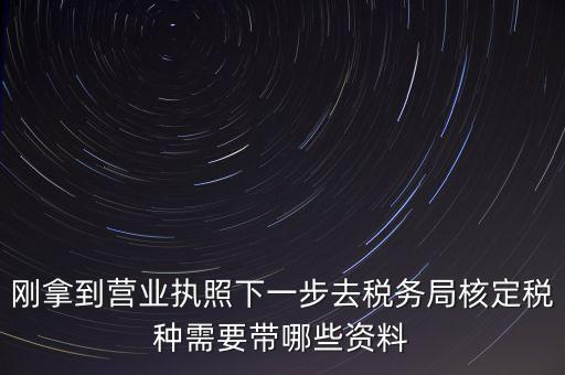 湖北國(guó)稅增加稅種需要帶什么資料，企業(yè)報(bào)稅種需要帶什么資料