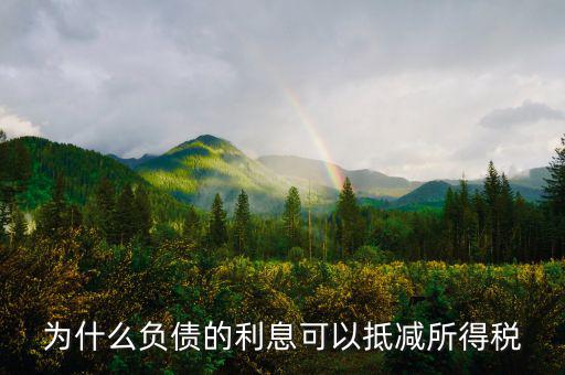 企業(yè)負債時稅率有什么優(yōu)惠，企業(yè)所得稅優(yōu)惠政策有哪些