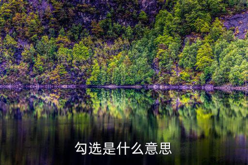 發(fā)票勾選是什么意思，勾選是什么意思