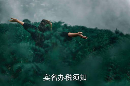 實名制什么叫辦稅人，稅務局怎么實名制辦稅員