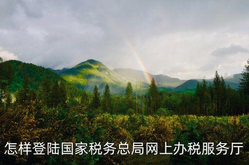 稅務局登錄什么瀏覽器可以，怎樣登陸國家稅務總局網(wǎng)上辦稅服務廳