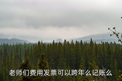 什么發(fā)票可以跨年入賬，增值稅專用發(fā)票可以跨年做賬嗎