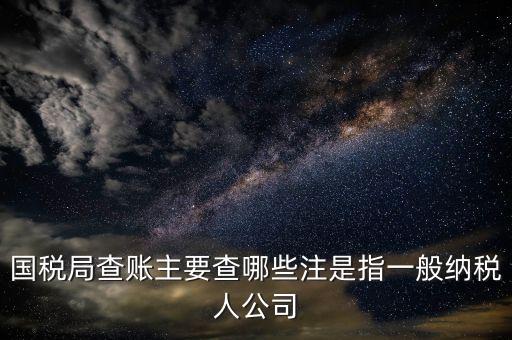 一般納稅人國稅都查什么呀，申請一般納稅人稅務局要過來看看都看什么