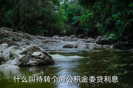 什么是委貸利息，委托貸款利息計(jì)算