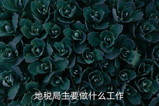地稅局主要管什么的，地稅局工作的主要內(nèi)容