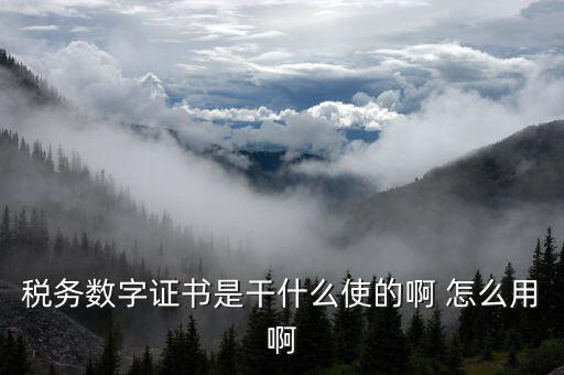 安徽國稅局?jǐn)?shù)字證書是什么意思，稅務(wù)數(shù)字證書是干什么使的啊 怎么用啊