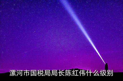 漯河市國稅局局長陳紅偉什么級(jí)別