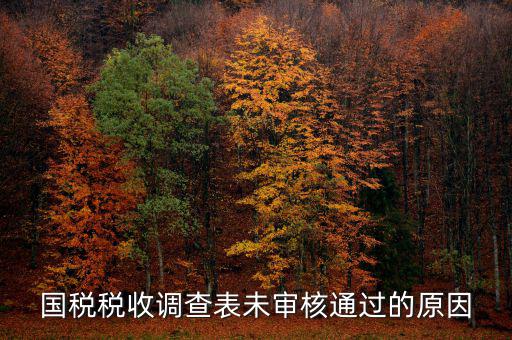 國稅網(wǎng)為什么查不到預(yù)審信息，在國稅上我明明已經(jīng)申報(bào)過了為什么查詢不出來
