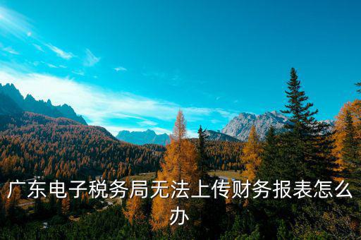 廣東電子稅務(wù)局無法上傳財(cái)務(wù)報表怎么辦