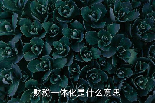 什么是稅收一體化，財(cái)稅一體化客戶端V11是什么啊必須用嗎