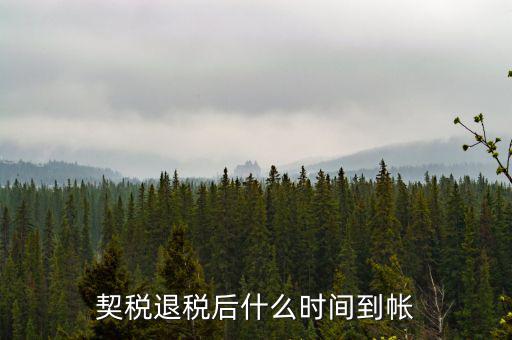 退稅款什么時候到賬，出口退稅款一般多久到賬