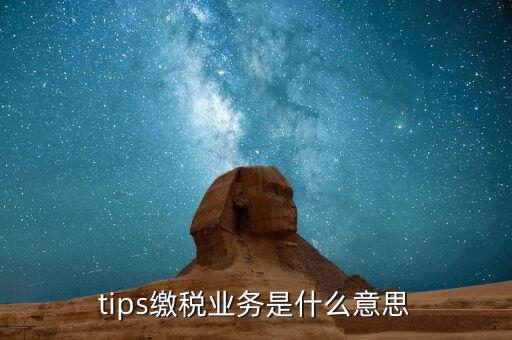 地稅tips繳款是什么意思，tips扣稅是什么意思