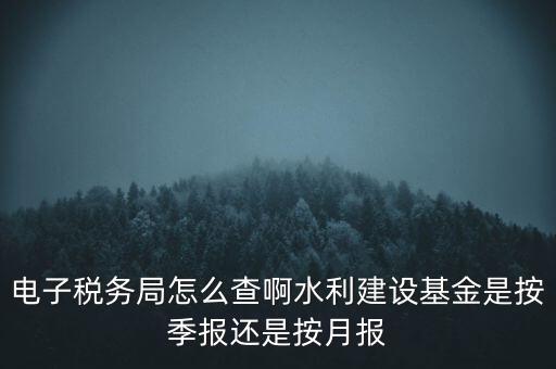 電子稅務局怎么查啊水利建設基金是按季報還是按月報