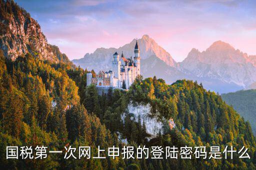 國稅網(wǎng)報(bào)口令是什么，國稅第一次網(wǎng)上申報(bào)的登陸密碼是什么