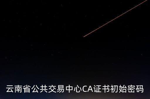 ca原始密碼登錄是什么，蘇州投標(biāo)ca初始密碼