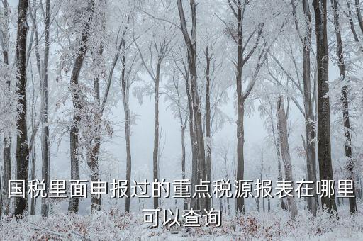 重點稅源預(yù)測網(wǎng)址是什么，國稅里面申報過的重點稅源報表在哪里可以查詢