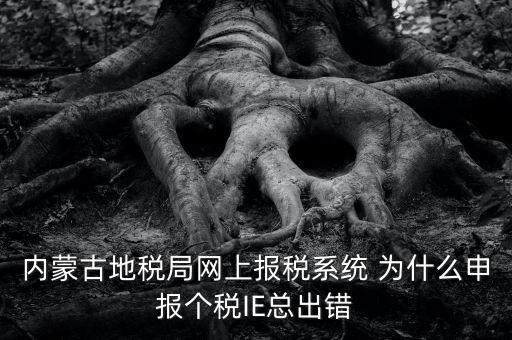 為什么內(nèi)蒙古國(guó)地稅網(wǎng)進(jìn)不去，windows7內(nèi)蒙古地稅報(bào)稅系統(tǒng)顯示無(wú)法顯示該網(wǎng)頁(yè)