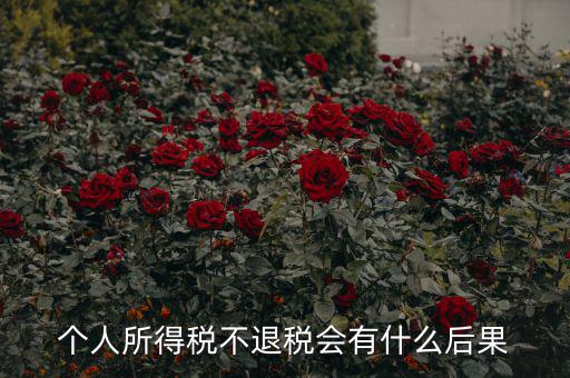 所得稅多交沒(méi)有退抵稅會(huì)有什么問(wèn)題，個(gè)人所得稅不退稅會(huì)有什么后果
