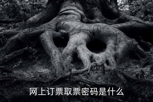 網(wǎng)絡(luò)發(fā)票密碼是什么，發(fā)票上密碼有什么用