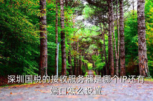 深圳國稅的接收服務(wù)器是哪個(gè)IP還有端口怎么設(shè)置