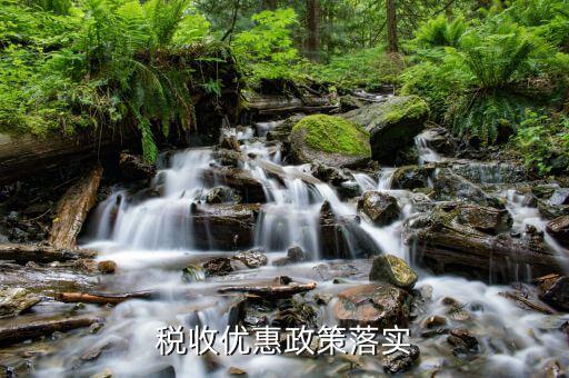 納稅人政策落實(shí)需求有什么，如何落實(shí)稅收優(yōu)惠政策