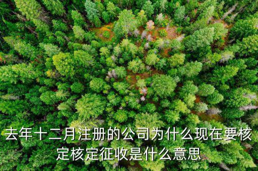 為什么核定征收收據(jù)，查賬征收為什么會(huì)轉(zhuǎn)為核定征收