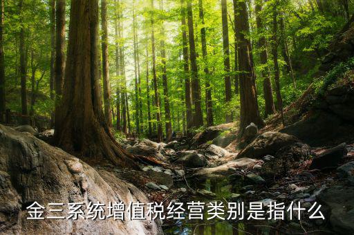 金三系統(tǒng)增值稅經營類別是指什么