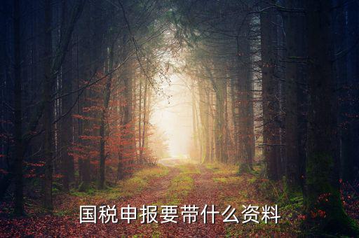 國稅注冊需要什么資料，國稅登記需要帶什么資料