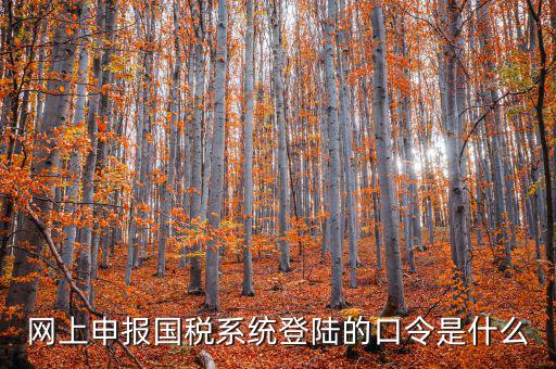 國稅網(wǎng)報(bào)口令是什么意思，網(wǎng)上申報(bào)國稅系統(tǒng)登陸的口令是什么