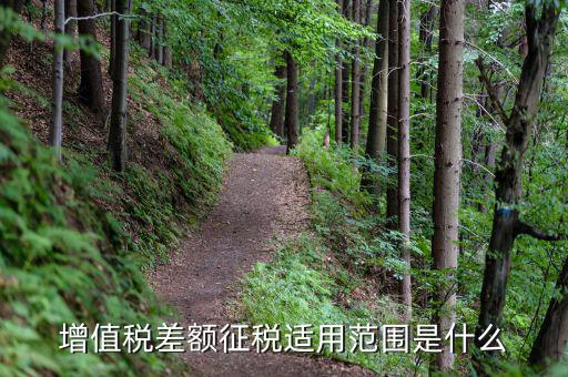 什么企業(yè)可以差額征稅，請(qǐng)問(wèn)差額征稅的項(xiàng)目有哪些