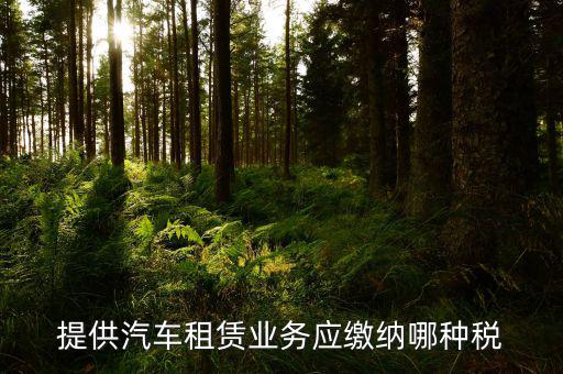 個(gè)人出租汽車給公司交什么稅，個(gè)人車輛租給公司個(gè)稅怎么交