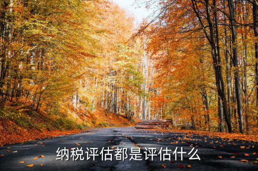 什么是稅務局企業(yè)評估，納稅評估都是評估什么