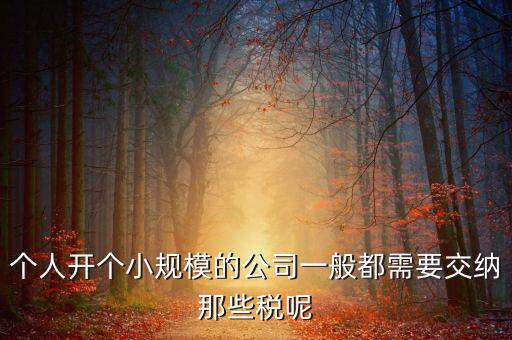 個(gè)人開(kāi)辦水廠需要什么稅，自來(lái)水公司的水廠要交房產(chǎn)稅和土地使用稅嗎