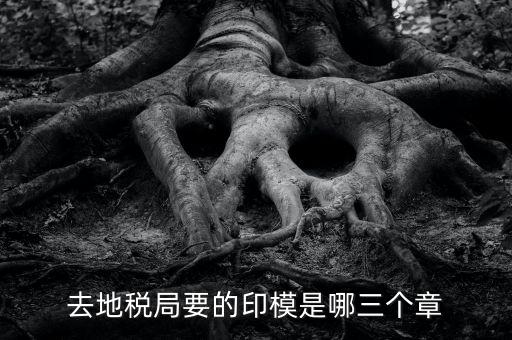 稅務(wù)局原始印模是什么東西，去地稅局要的印模是哪三個章