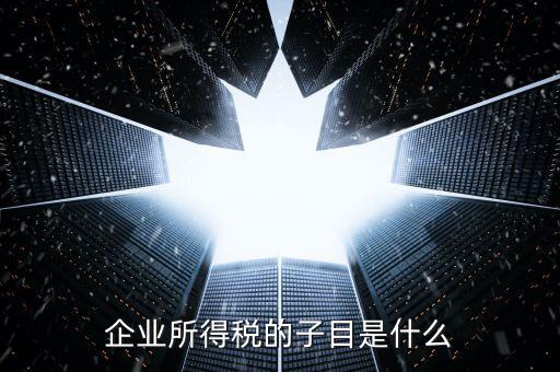 企業(yè)所得稅征收品目是什么，征收品目是什么