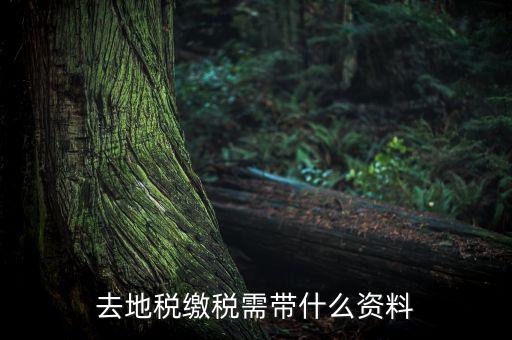 無錫地稅需要帶什么材料，去地稅繳稅需帶什么資料